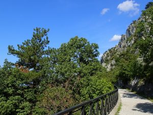 Wandern Triest