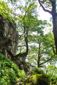 Wandern Loch Lomond