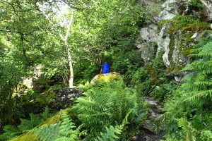 Wandern Loch Lomond