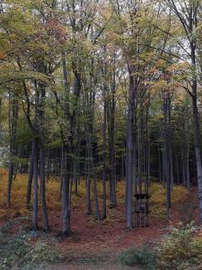 Wandern Wachau