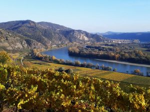 Wandern Wachau