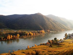 Wandern Wachau