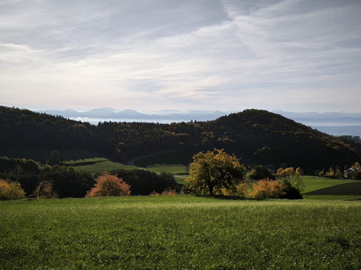 Wanderung von Emmersdorf nach Spitz